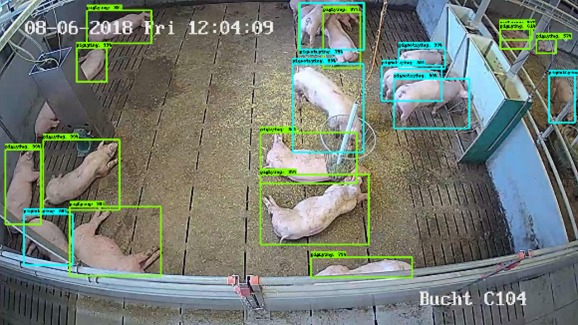 ip address tracker website screenshot